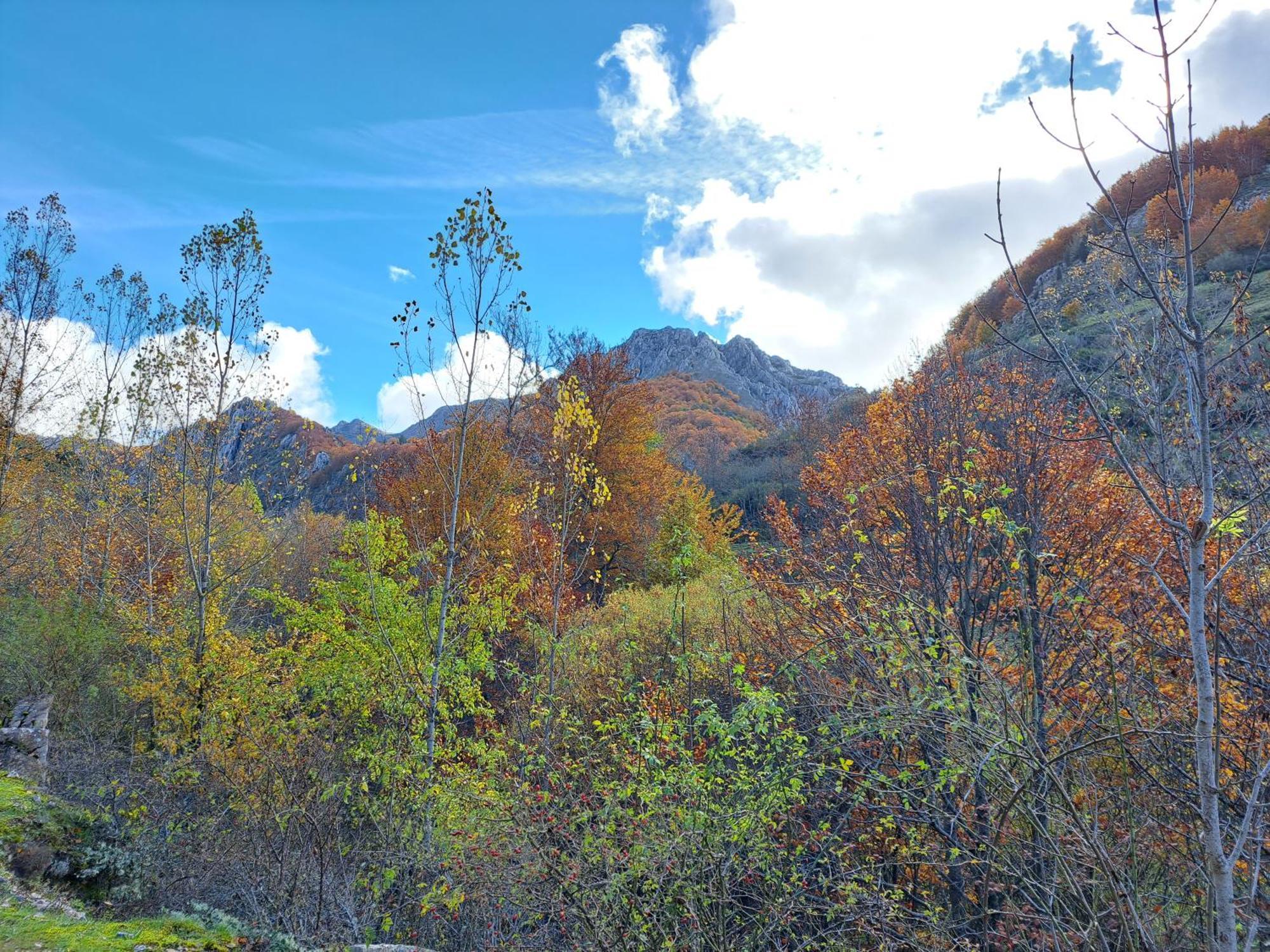 Hotel Rural Valle Del Tuejar Taranilla エクステリア 写真