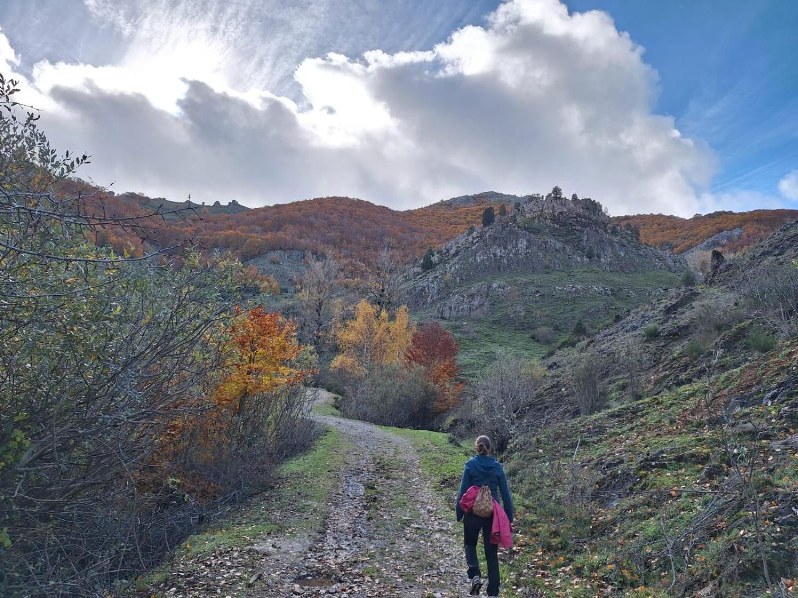 Hotel Rural Valle Del Tuejar Taranilla エクステリア 写真